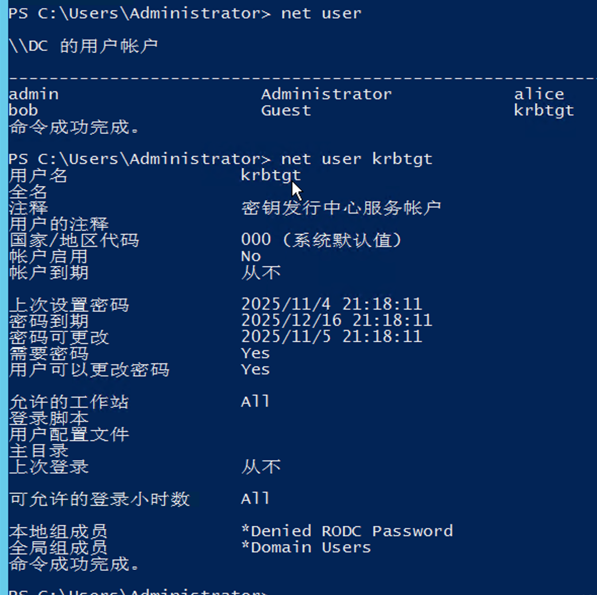image-20251112191129812