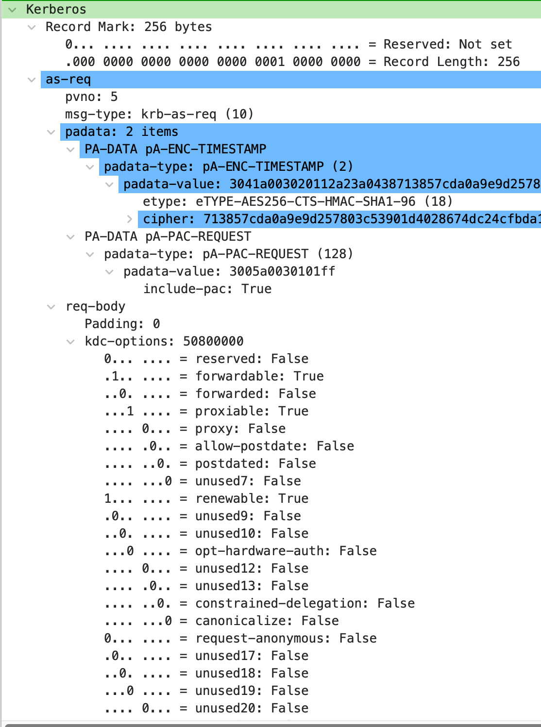 image-20251113193509083