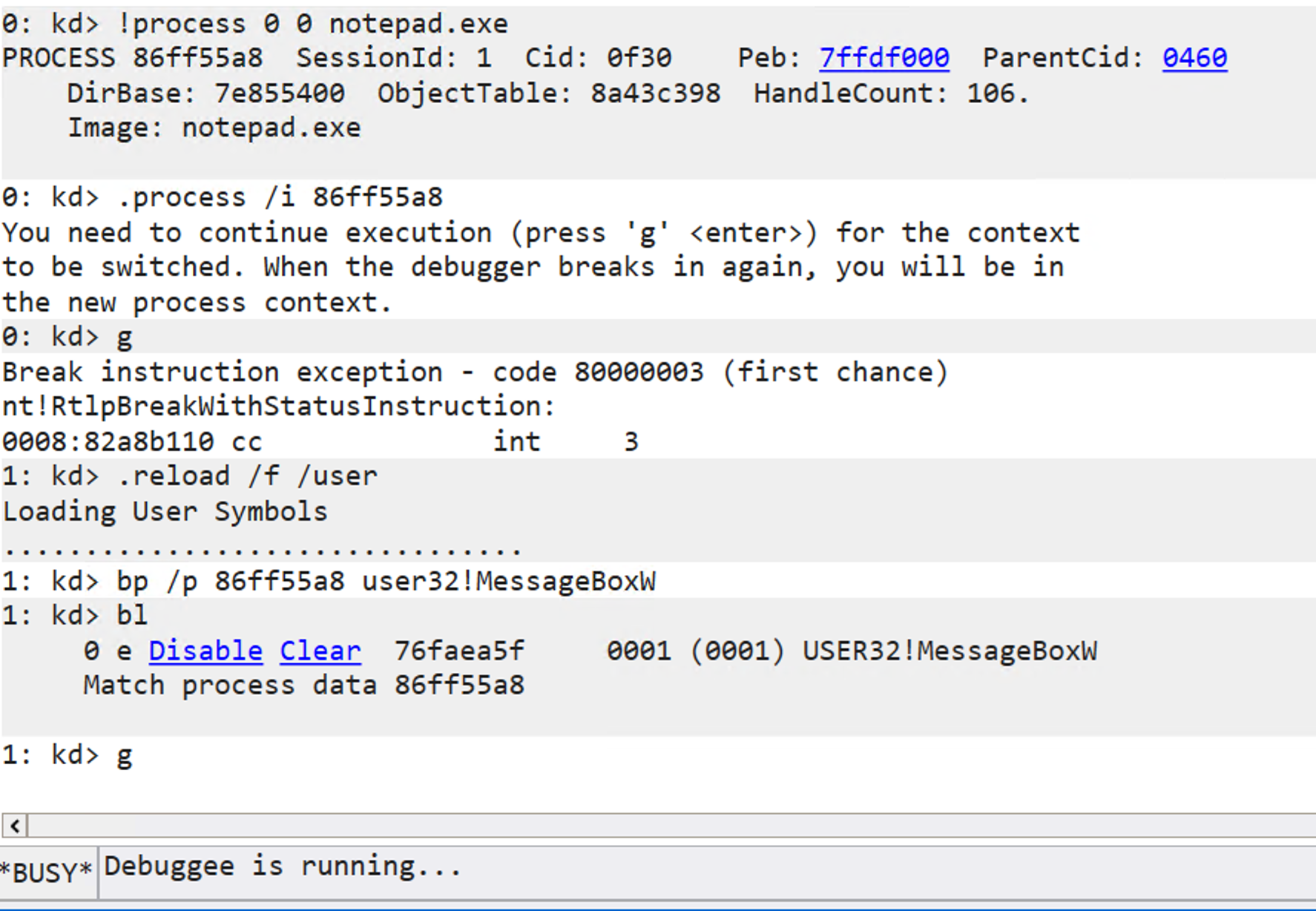 image-20260119001015571